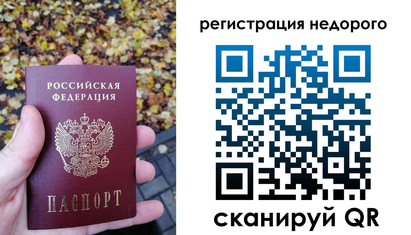 прописка для школы в Новом Осколе