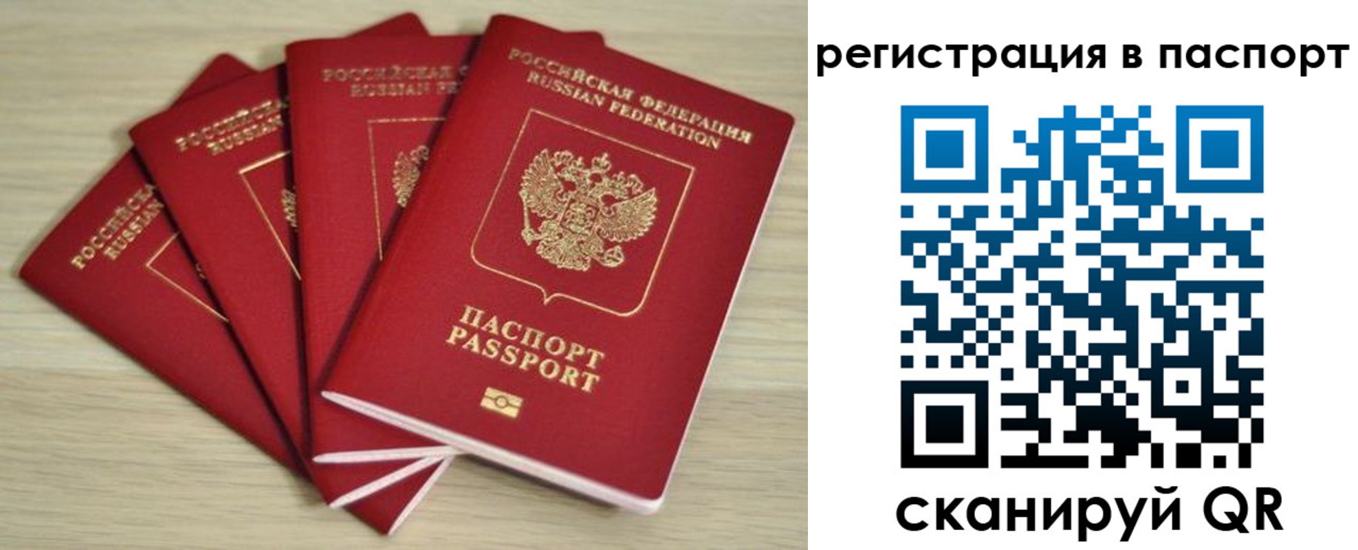 временная регистрация для школы в Новом Осколе